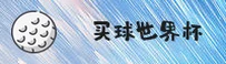 手机买世界杯官网