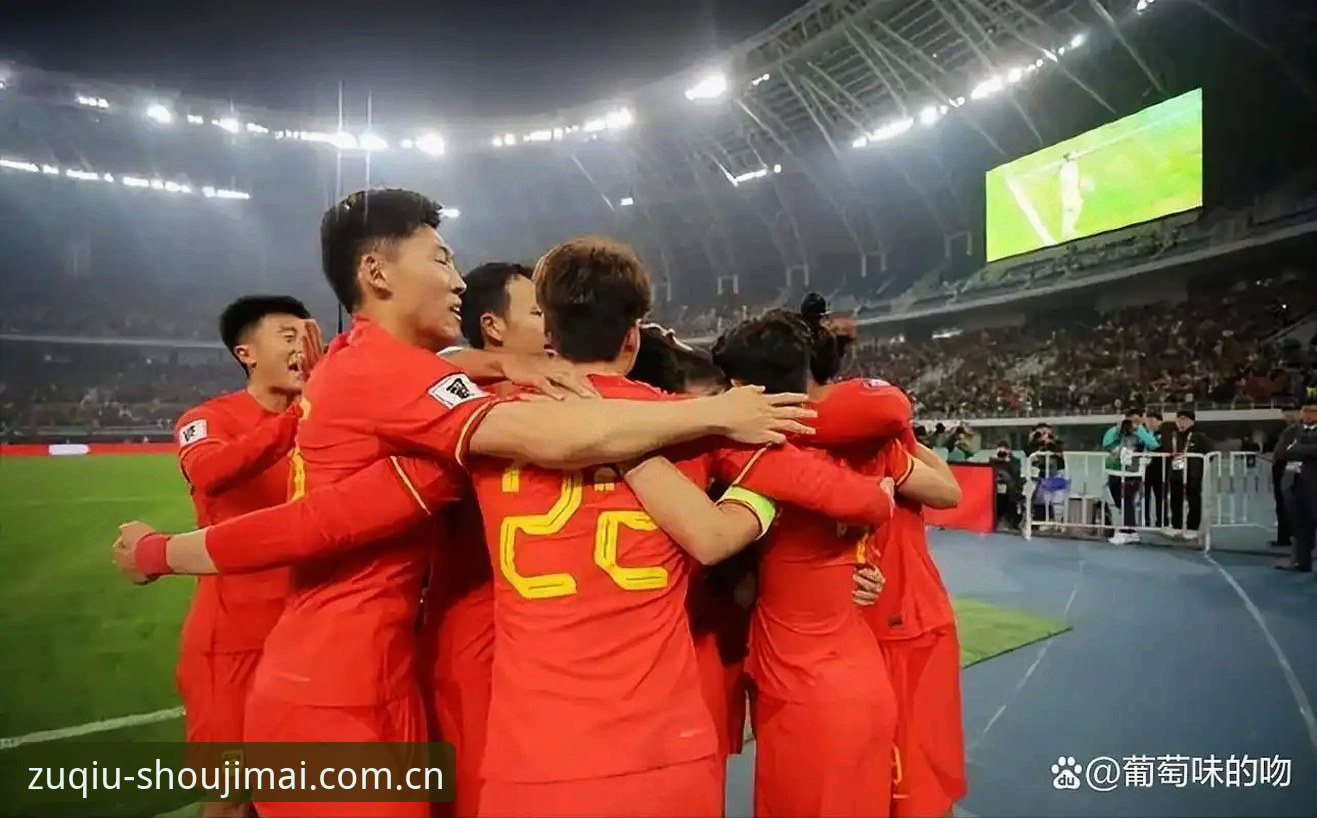足协禁足名单深度对比：终身禁赛vs五年禁赛，谁在操控中国足球的命脉？