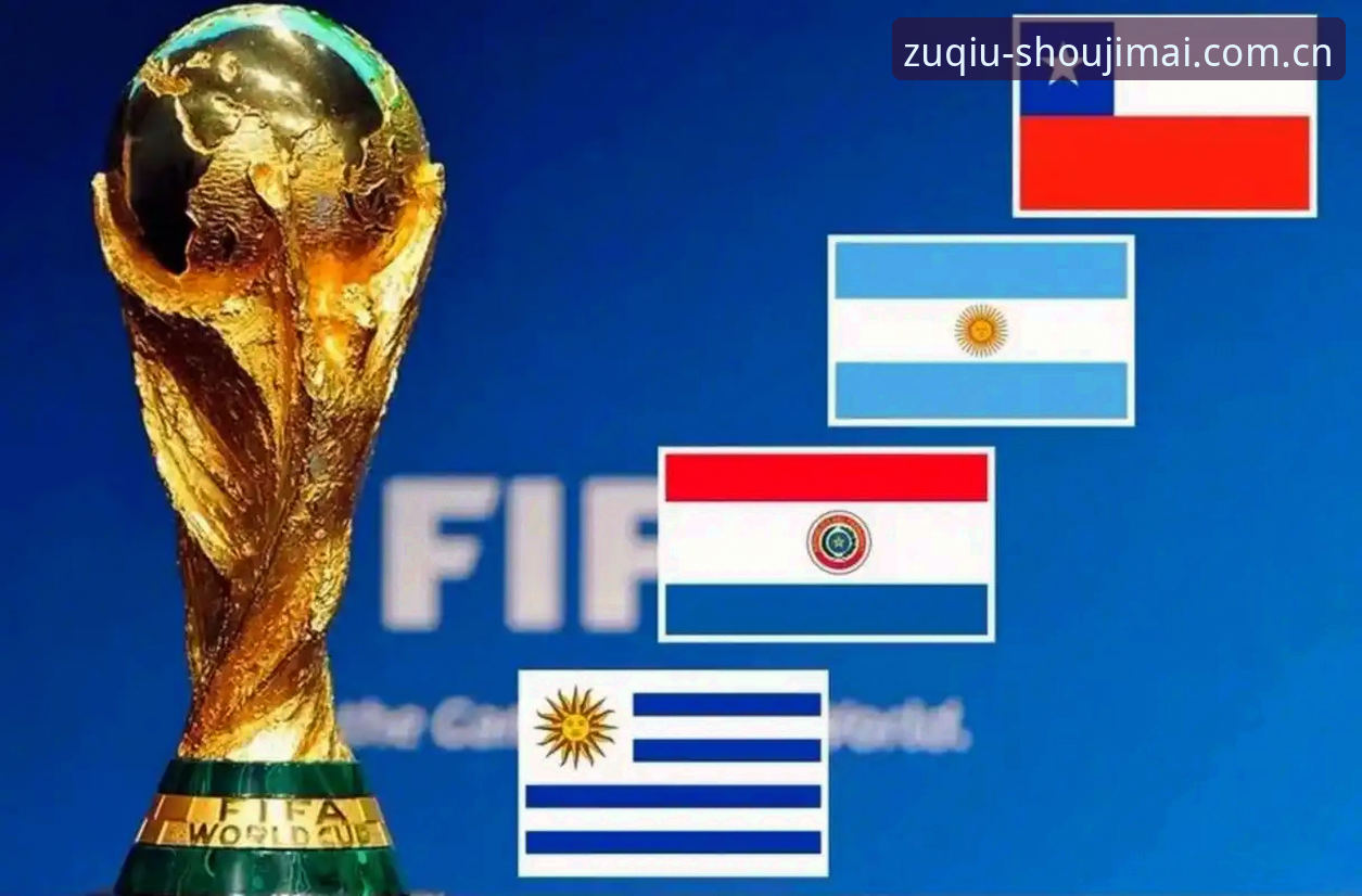 世界杯购彩平台 2026世界杯购彩平台怎么选?专业分析师教你避开这些坑